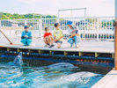 【わくわく海中水族館 シードーナツ】イルカと気軽に触れ合える!水族館で一番人気のプログラムです。
