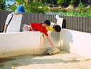 【わくわく海中水族館 シードーナツ】リクガメと触れ合える体験コーナーもございます(予約不要)