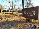 もみの湯 入口 看板