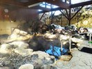 もみの湯 男性露天風呂