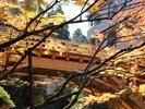 【こおろぎ橋】当館から徒歩7分。山中温泉の代表的な景勝地。写真提供:石川県観光連盟