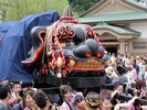 【こいこい祭り】秋のビッグイベント。威勢よく踊る大獅子は迫力満点!