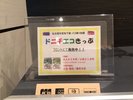 「ドニチエコきっぷ」を販売しております