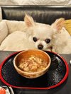 【ご宿泊のお客さま】エルメちゃん