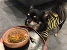 【ご宿泊のお客さま】小太郎ちゃん