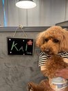 【ご宿泊のお客さま】Kai(カイ)ちゃん。ラウンジのお名前プレートとパシャリ!スタッフの手がきです!