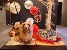 【ご宿泊のお客さま】豆治朗ちゃん。1月のフォトスポットご利用ありがとうございます。