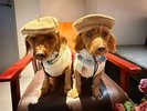 【ご宿泊のお客さま】サラちゃん&モコちゃん