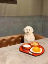 【ご宿泊のお客さま】ちびちゃん。ヤギミルクパンセットとパシャリ!絵画みたい