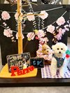 【ご宿泊のお客さま】ちびちゃん。お名前プレートも一緒に撮ってくださりありがとうございます