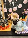 【ご宿泊のお客さま】るるちゃん
