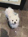 【ご宿泊のお客さま】さとるちゃん