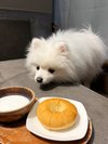 【ご宿泊のお客さま】さとるちゃん