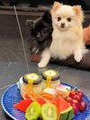 【ご宿泊のお客さま】るるちゃん&りんちゃん