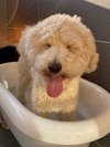 【ご宿泊のお客さま】トトラちゃん