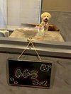 【ご宿泊のお客さま】トトラちゃん