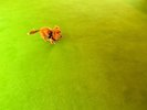 【ご宿泊のお客さま】紬(つむぎ)ちゃん