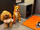 【ご宿泊のお客さま】モアちゃん