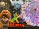 【ご宿泊のお客さま】モアちゃん
