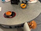 【ご宿泊のお客さま】モアちゃん