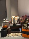 【ご宿泊のお客さま】ラムちゃん&レムちゃん