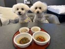 【ご宿泊のお客さま】ラムちゃん&レムちゃん