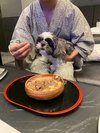 【ご宿泊のお客さま】あんちゃん シーズー