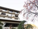 *客室棟を見上げた外観の様子。ゆったりとした造りが特徴です。