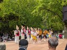 徳島城阿波おどり2024(横須賀家政像前広場)舞台踊り