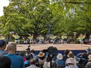 徳島城阿波おどり2024(横須賀家政像前広場)舞台踊り