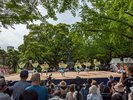 徳島城阿波おどり2024(横須賀家政像前広場)舞台踊り