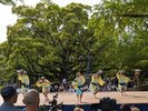 徳島城阿波おどり2024(横須賀家政像前広場)舞台踊り