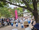 徳島城阿波おどり2024(お花見広場)流し踊り