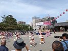 徳島城阿波おどり2024(鷲の門広場)輪踊り