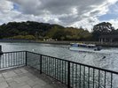 ひょうたん島クルージング