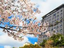 外観と不忍池の桜