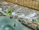 【千年の湯 露天風呂】渓流沿いあり四季の移ろいを感じられる人気のお風呂です。