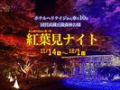 国営武蔵丘陵森林公園の2024年紅葉見ナイトは11月14日から12月1日まで