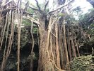 【ガンガラーの谷】当館から車で約29分
