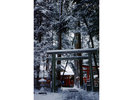 椿大神社