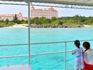 【半潜水式水中観光船「シースカイ博愛」】美しい海の生き物を間近でご覧いただけます
