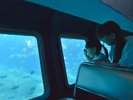 【半潜水式水中観光船「シースカイ博愛」】水深25mの美しい海の世界をお楽しみください