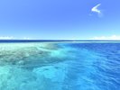 【八重干瀬ボートシュノーケル】船でしか行けないシュノーケリングポイントへ。感動のシュノーケリング体験