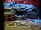 【あけび】母屋客室1階_和室9畳