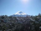 当館レストランから望む富士山