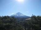 レストランより望む富士山(春)