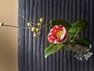 冬のなげいれの花