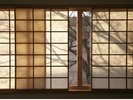 「双葉葵」障子