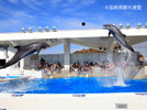 「九十九島水族館海きらら」【車】約35分