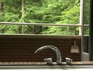 ジャグジー付客室風呂から